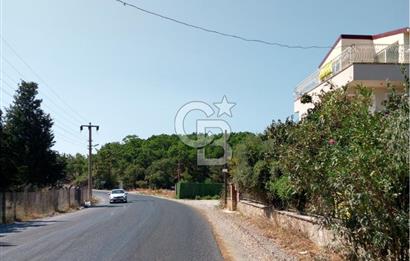 AYVALIK BADAVUT BÖLGESİNDE FIRSAT NİTELİĞİNDE 275 m² ARSA