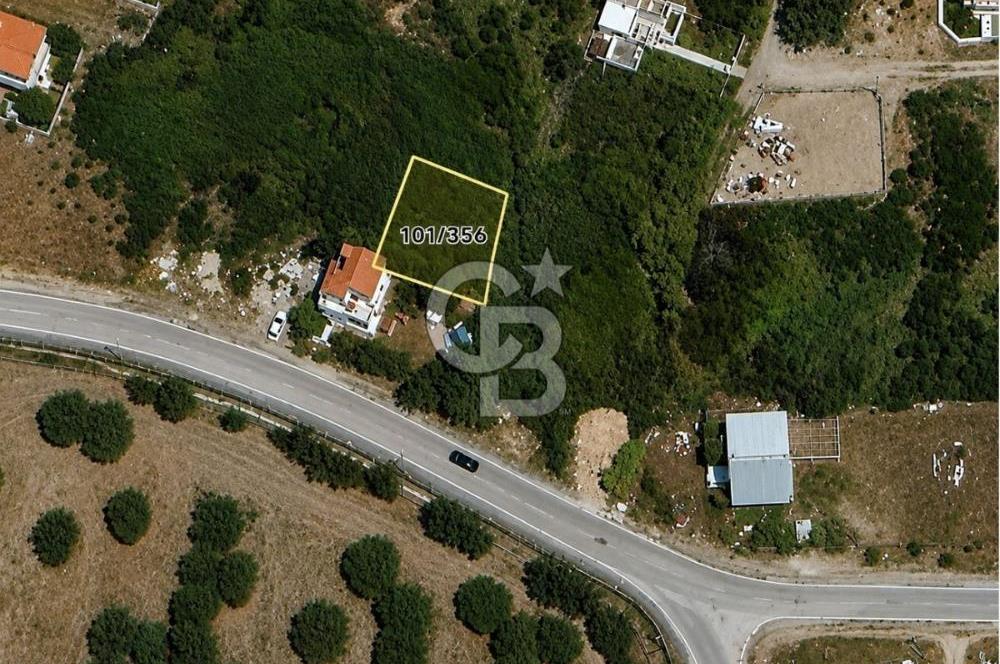 AYVALIK BADAVUT BÖLGESİNDE FIRSAT NİTELİĞİNDE 275 m² ARSA