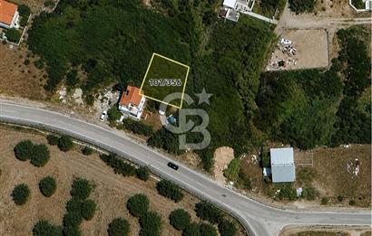 AYVALIK BADAVUT BÖLGESİNDE FIRSAT NİTELİĞİNDE 275 m² ARSA