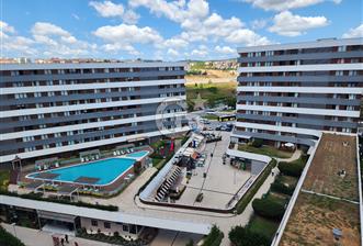 Kurtköy Yenişehir Pegasus Netaş Yanı Dumankaya Cadde'de 1+1 - 5 - 370875