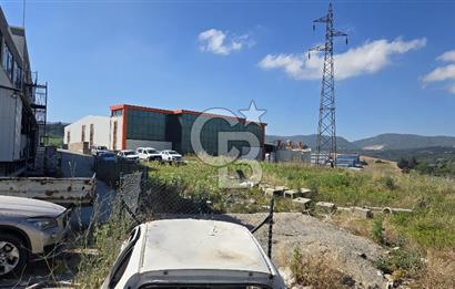YALOVA KİRAZLI SANAYİ İMARLI SATILIK ARSA!.3369M2
