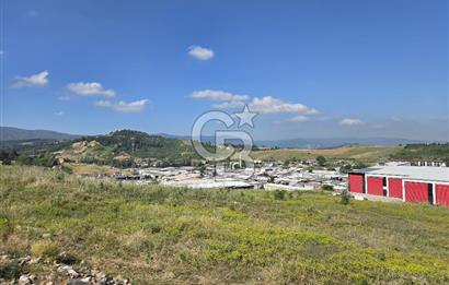 YALOVA KİRAZLI SANAYİ İMARLI SATILIK ARSA!.3369M2