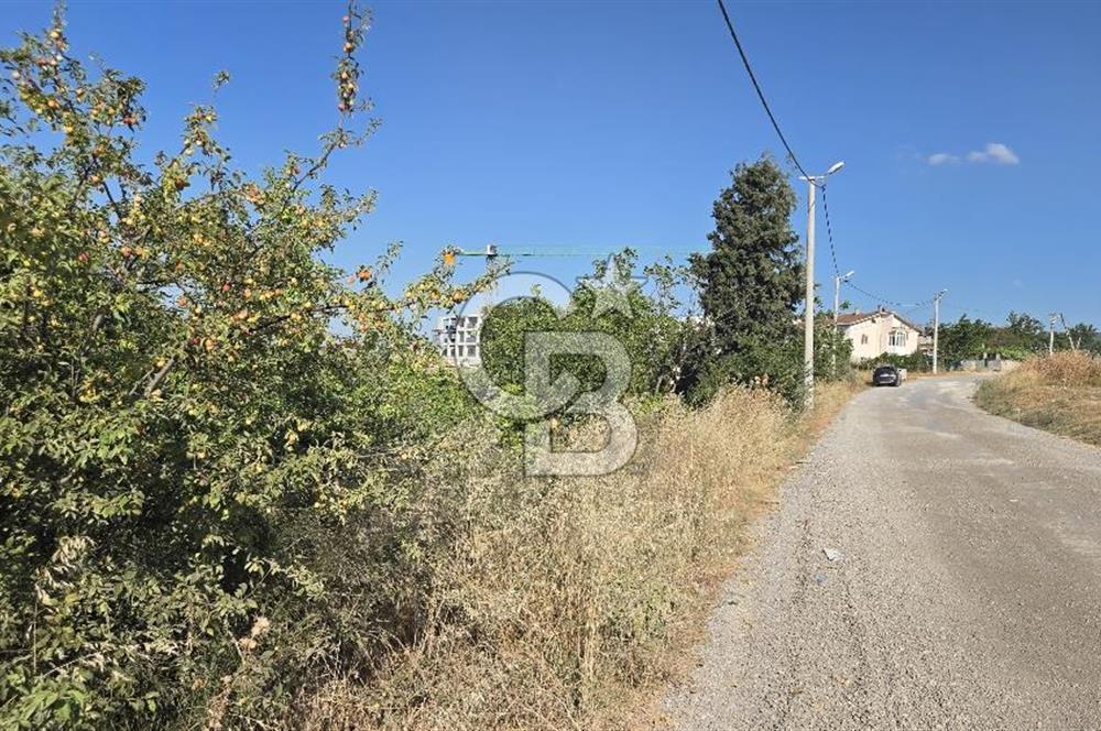 YALOVA KİRAZLI SANAYİ İMARLI SATILIK ARSA!.5267M2