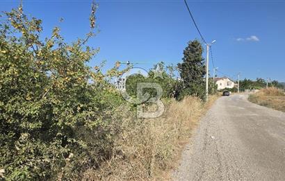 YALOVA KİRAZLI SANAYİ İMARLI SATILIK ARSA!.5267M2