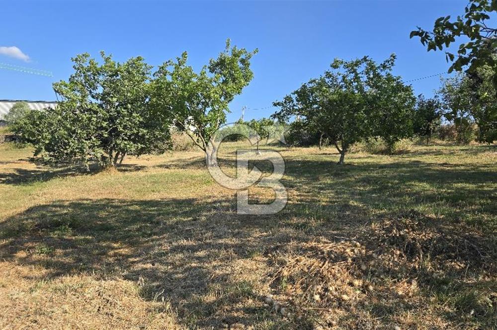 YALOVA KİRAZLI SANAYİ İMARLI SATILIK ARSA!.5267M2