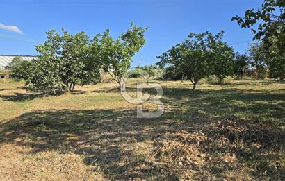 YALOVA KİRAZLI SANAYİ İMARLI SATILIK ARSA!.5267M2