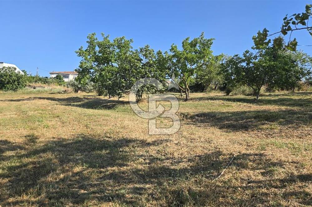 YALOVA KİRAZLI SANAYİ İMARLI SATILIK ARSA!.5267M2