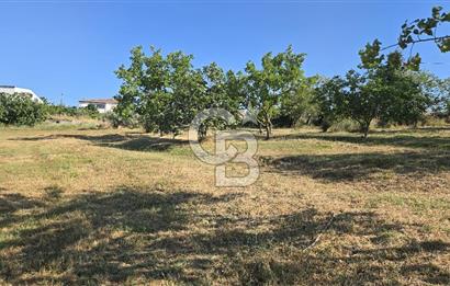 YALOVA KİRAZLI SANAYİ İMARLI SATILIK ARSA!.5267M2