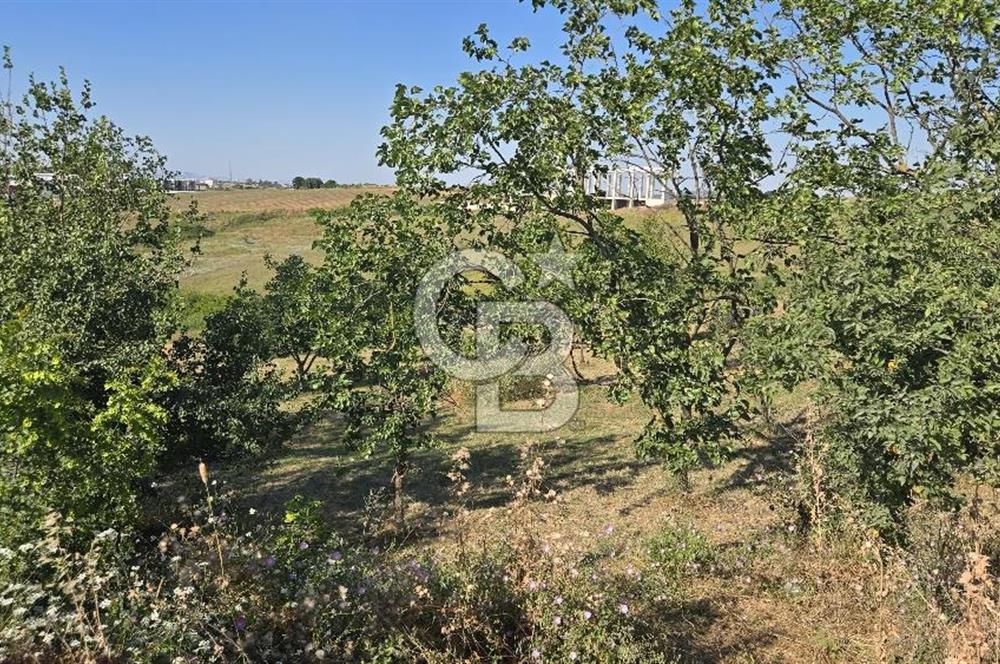 YALOVA KİRAZLI SANAYİ İMARLI SATILIK ARSA!.5267M2
