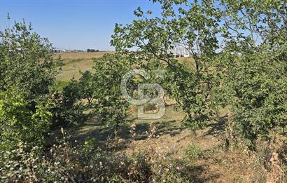 YALOVA KİRAZLI SANAYİ İMARLI SATILIK ARSA!.5267M2