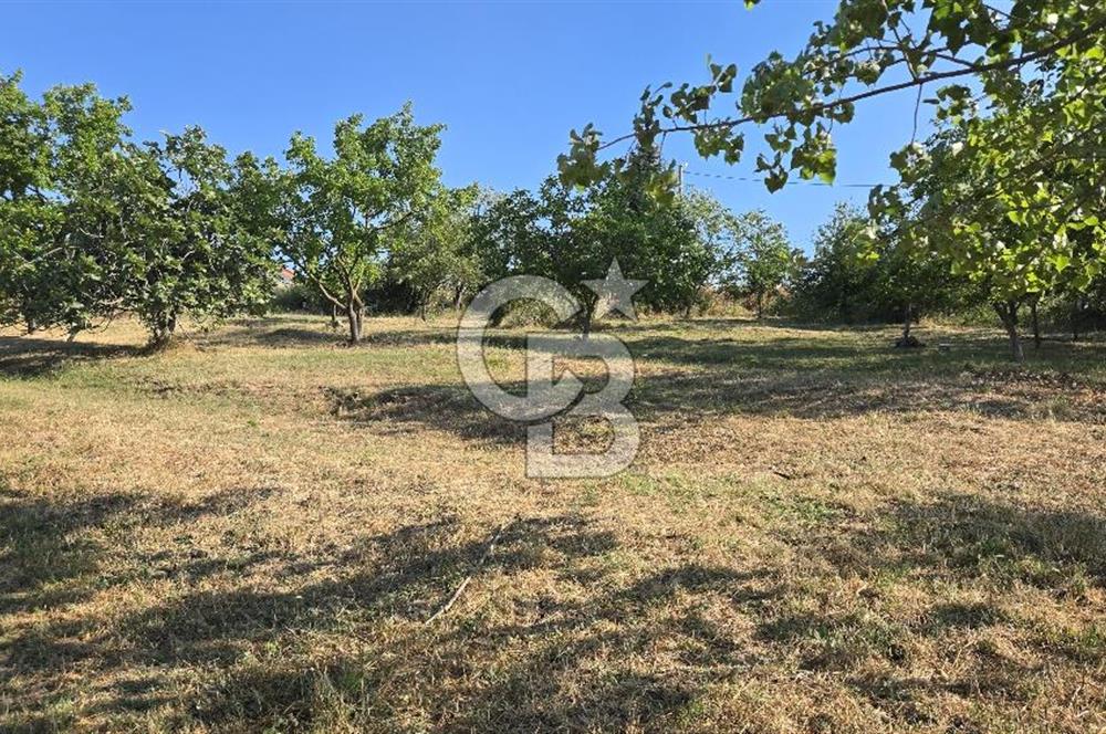 YALOVA KİRAZLI SANAYİ İMARLI SATILIK ARSA!.5267M2