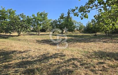 YALOVA KİRAZLI SANAYİ İMARLI SATILIK ARSA!.5267M2