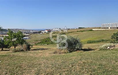 YALOVA KİRAZLI SANAYİ İMARLI SATILIK ARSA!.5267M2