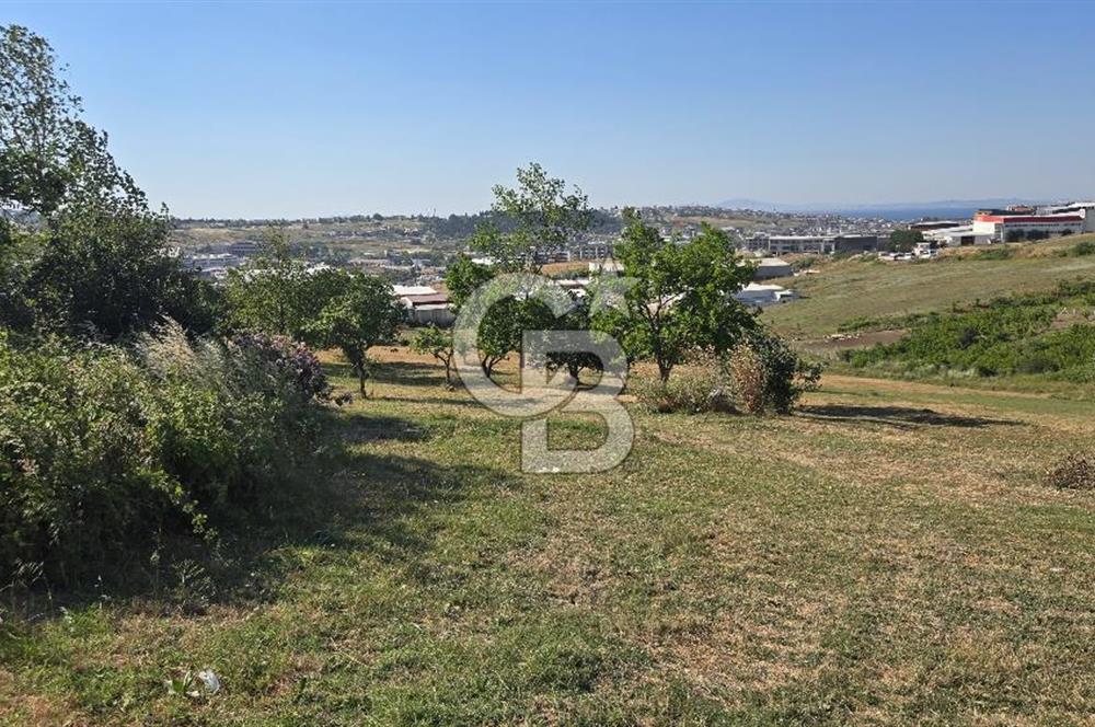 YALOVA KİRAZLI SANAYİ İMARLI SATILIK ARSA!.5267M2