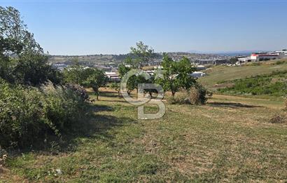 YALOVA KİRAZLI SANAYİ İMARLI SATILIK ARSA!.5267M2
