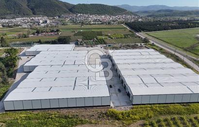 YALOVA ÇİFTLİKKÖY TAŞKÖPRÜ KİRALIK FABRİKA İŞ YERİ!. 330M2