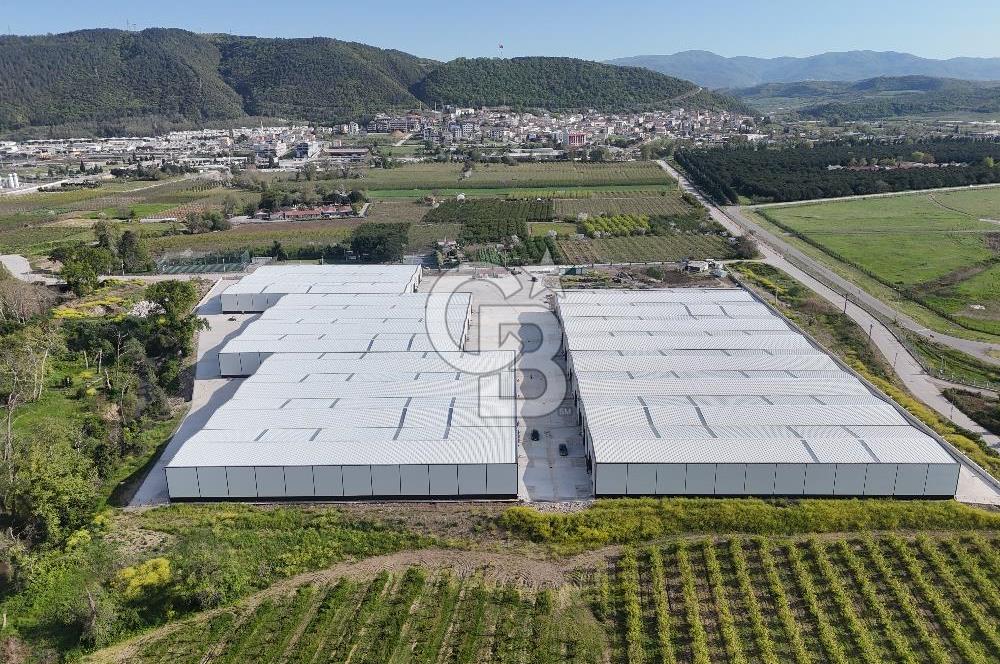 YALOVA ÇİFTLİKKÖY TAŞKÖPRÜ KİRALIK FABRİKA İŞ YERİ!. 330M2