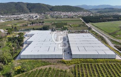 YALOVA ÇİFTLİKKÖY TAŞKÖPRÜ KİRALIK FABRİKA İŞ YERİ!. 330M2