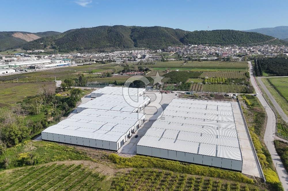 YALOVA ÇİFTLİKKÖY TAŞKÖPRÜ KİRALIK FABRİKA İŞ YERİ!. 1320M2