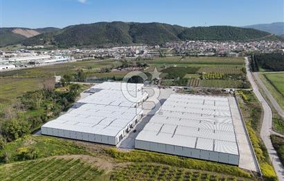 YALOVA ÇİFTLİKKÖY TAŞKÖPRÜ KİRALIK FABRİKA İŞ YERİ!. 1320M2