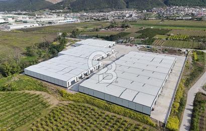YALOVA ÇİFTLİKKÖY TAŞKÖPRÜ KİRALIK FABRİKA İŞ YERİ!. 1320M2