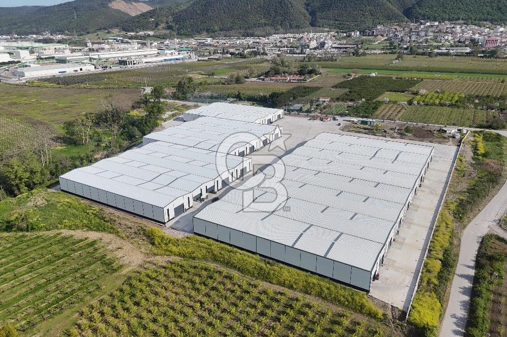 YALOVA ÇİFTLİKKÖY TAŞKÖPRÜ KİRALIK FABRİKA İŞ YERİ!. 330M2
