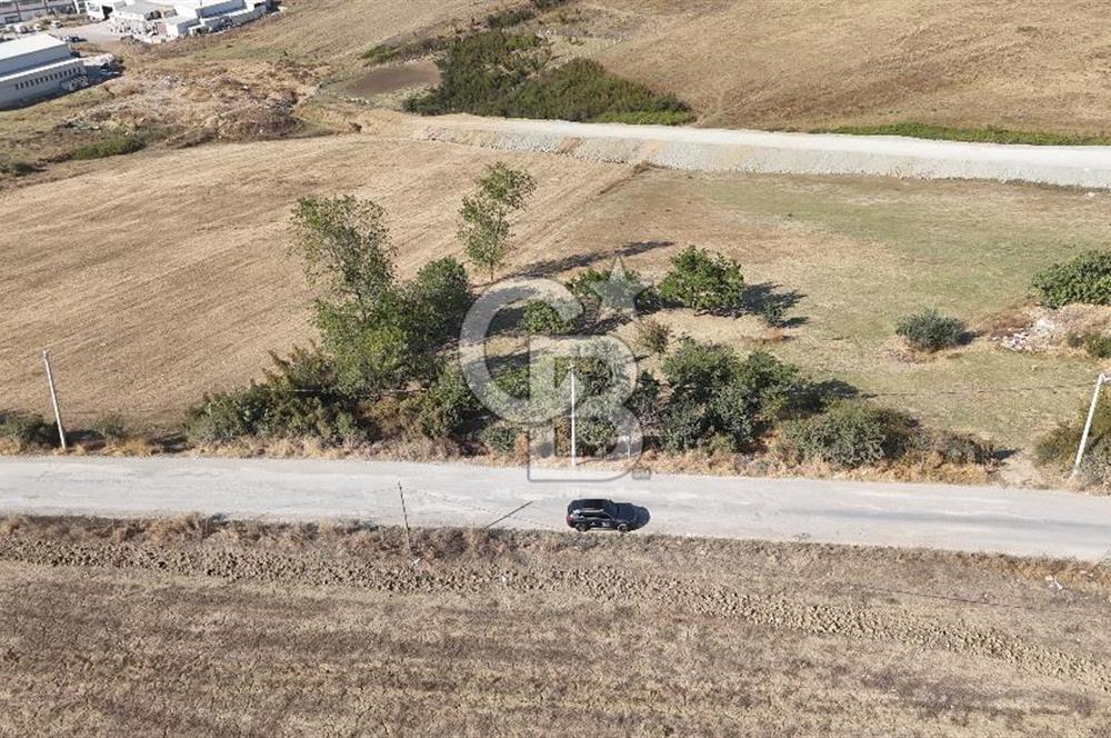 YALOVA KİRAZLI SANAYİ İMARLI SATILIK ARSA!.5267M2