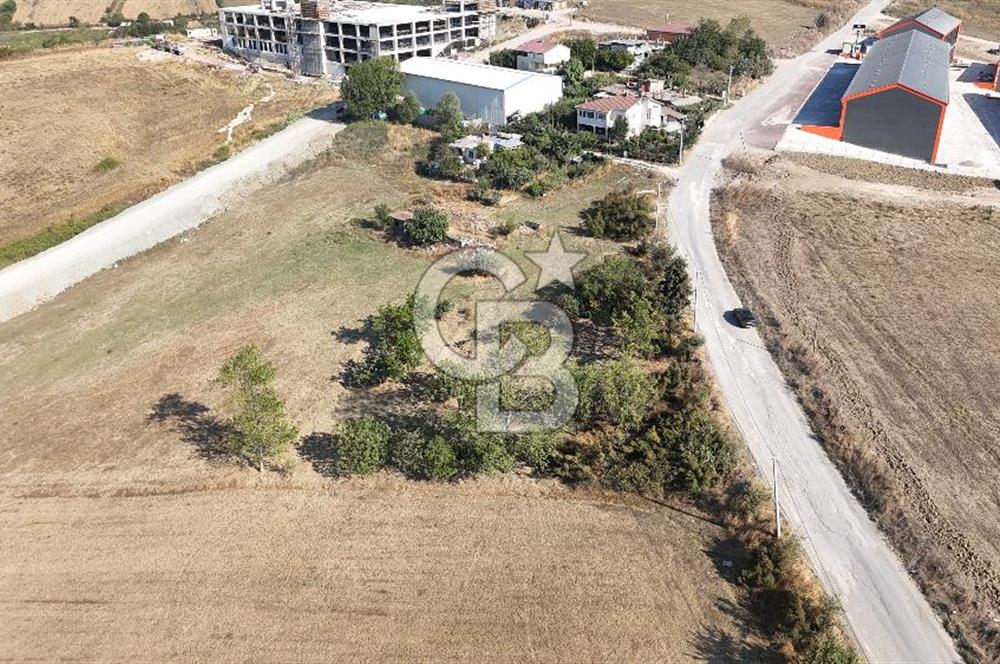 YALOVA KİRAZLI SANAYİ İMARLI SATILIK ARSA!.5267M2