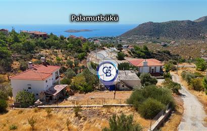 DATÇA YAKADA DENİZ GÖREN, 895 M² PARSELDE 1/3 HİSSE FIRSATI