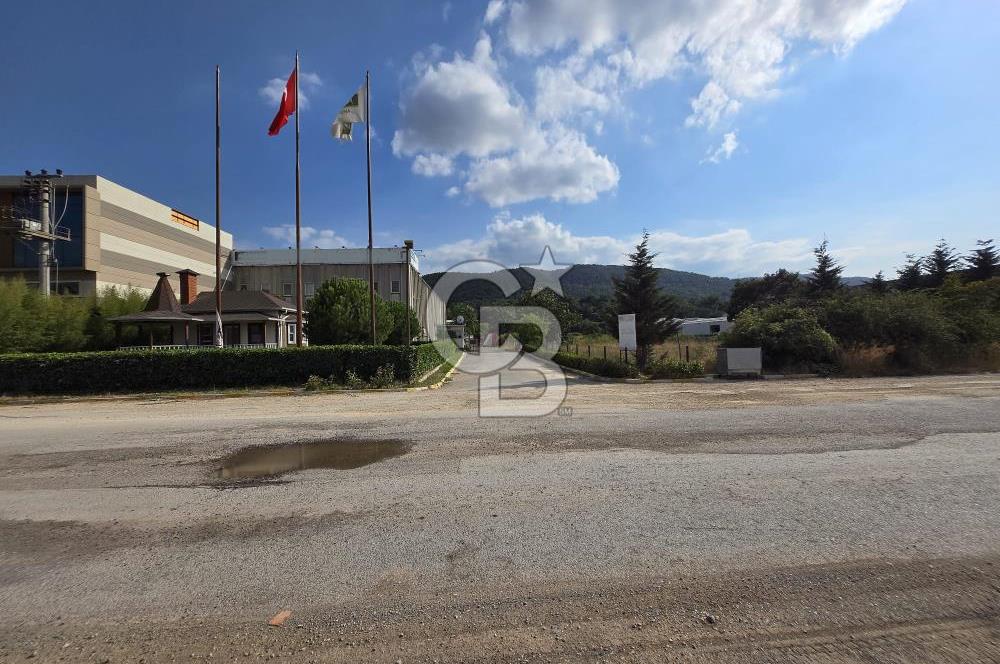 YALOVA ÇİFTLİKKÖY TAŞKÖPRÜ SATILIK FABRİKA!.