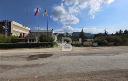 YALOVA ÇİFTLİKKÖY TAŞKÖPRÜ SATILIK FABRİKA!.