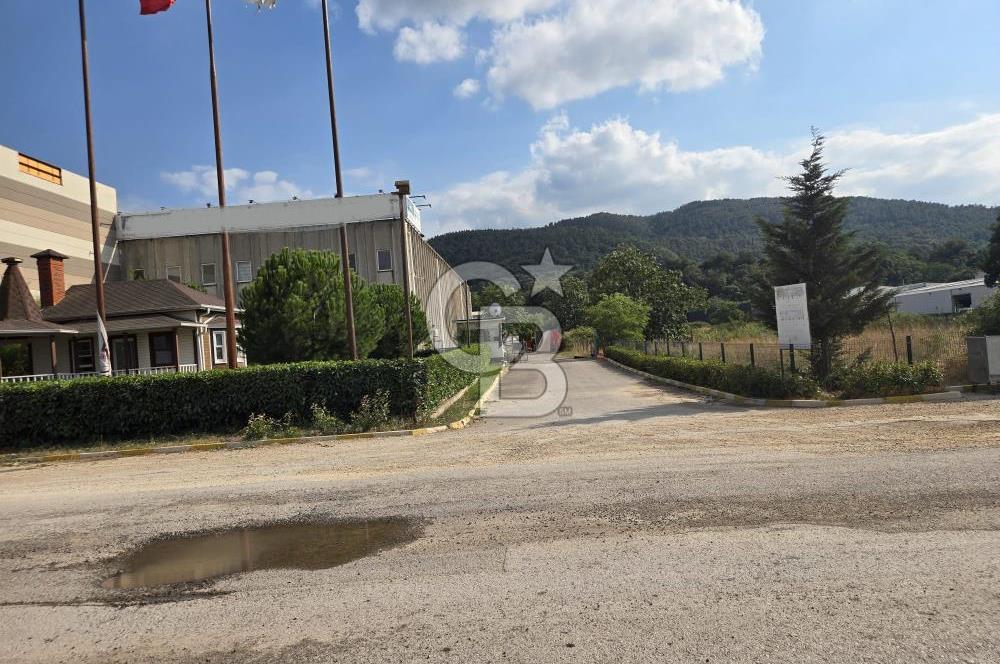 YALOVA ÇİFTLİKKÖY TAŞKÖPRÜ SATILIK FABRİKA!.