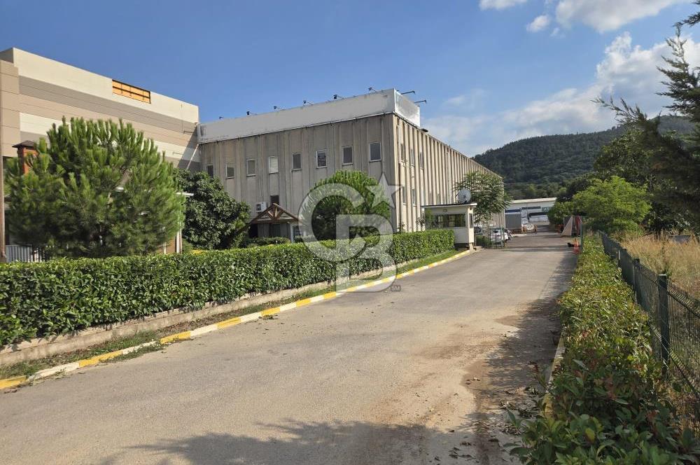 YALOVA ÇİFTLİKKÖY TAŞKÖPRÜ SATILIK FABRİKA!.