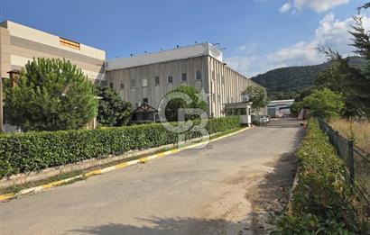 YALOVA ÇİFTLİKKÖY TAŞKÖPRÜ SATILIK FABRİKA!.