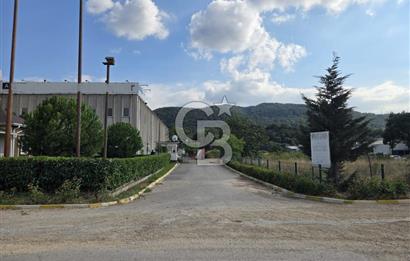 YALOVA ÇİFTLİKKÖY TAŞKÖPRÜ SATILIK FABRİKA!.