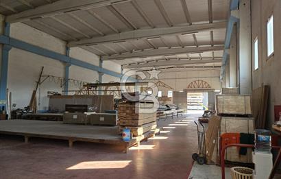 YALOVA ÇİFTLİKKÖY TAŞKÖPRÜ SATILIK FABRİKA!.