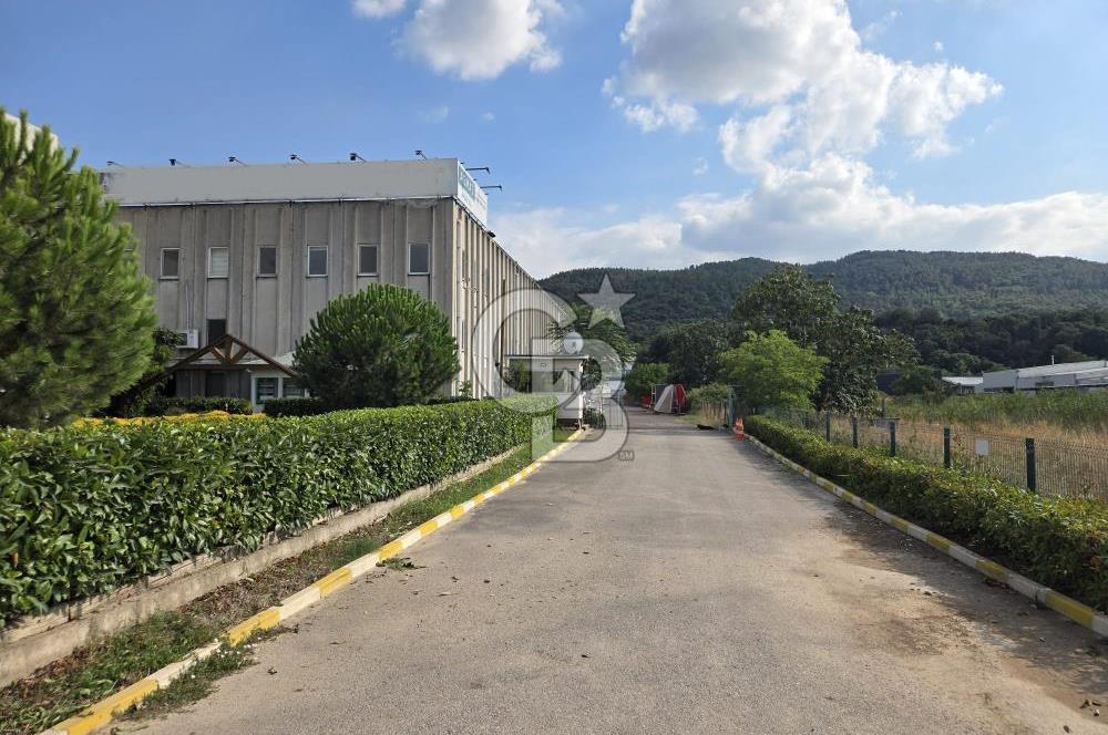 YALOVA ÇİFTLİKKÖY TAŞKÖPRÜ SATILIK FABRİKA!.