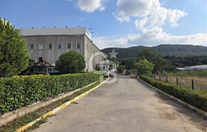 YALOVA ÇİFTLİKKÖY TAŞKÖPRÜ SATILIK FABRİKA!.