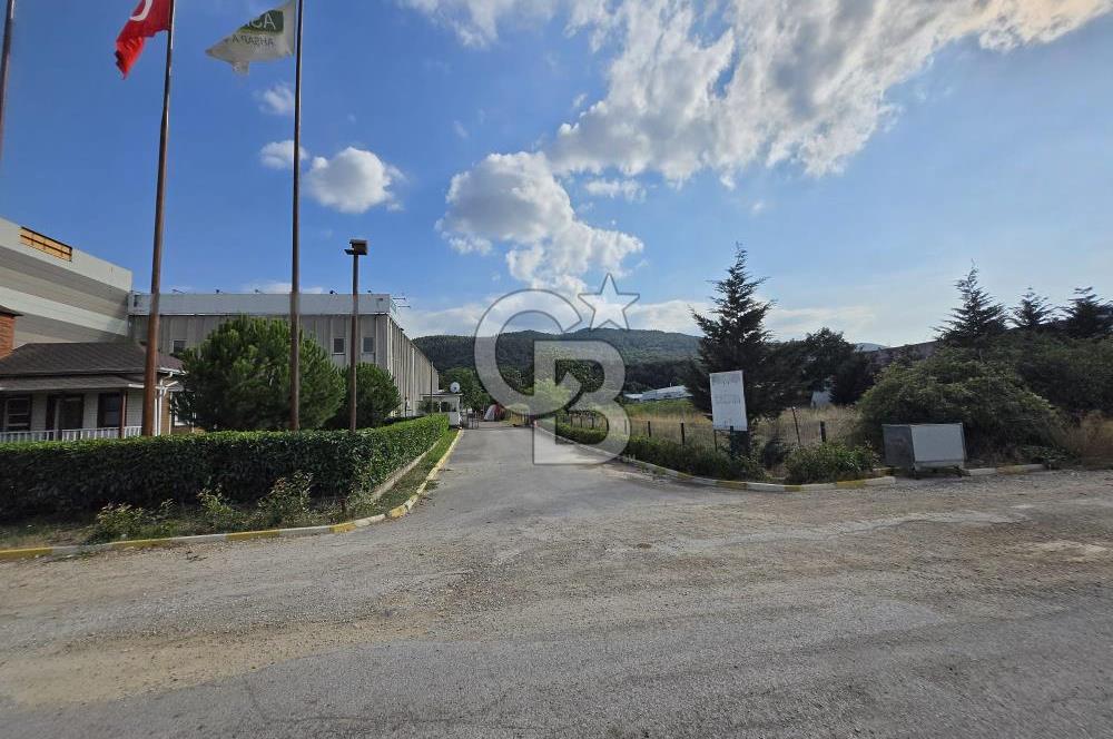 YALOVA ÇİFTLİKKÖY TAŞKÖPRÜ SATILIK FABRİKA!.