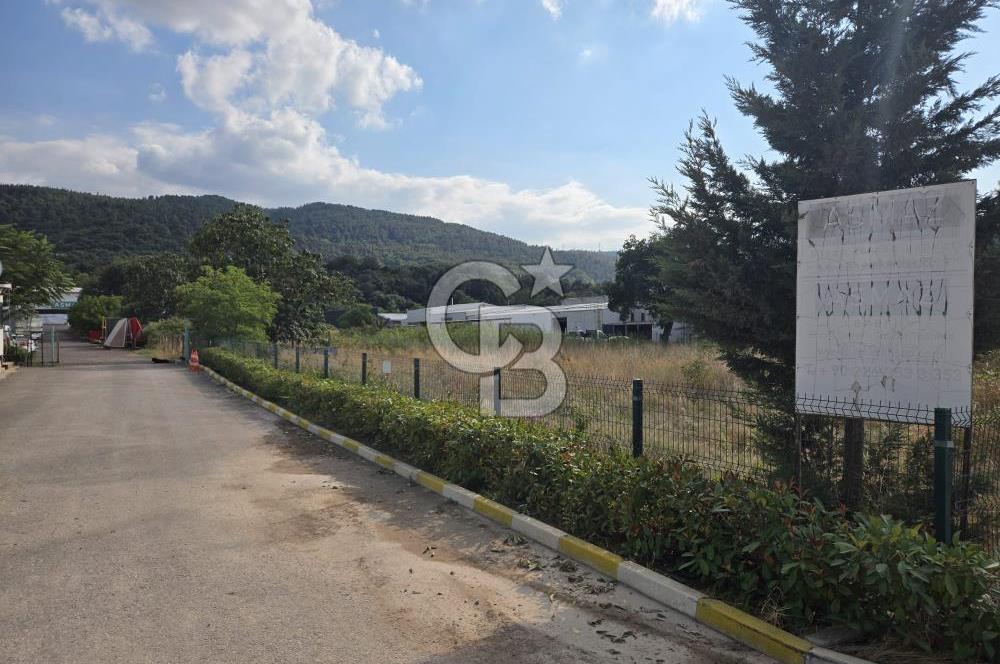 YALOVA ÇİFTLİKKÖY TAŞKÖPRÜ SATILIK FABRİKA!.