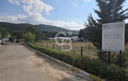 YALOVA ÇİFTLİKKÖY TAŞKÖPRÜ SATILIK FABRİKA!.
