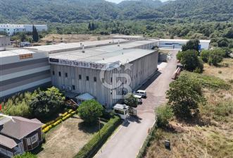 YALOVA ÇİFTLİKKÖY TAŞKÖPRÜ SATILIK FABRİKA!. - 1 - 370905