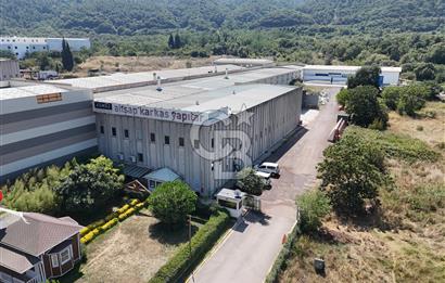 YALOVA ÇİFTLİKKÖY TAŞKÖPRÜ SATILIK FABRİKA!.
