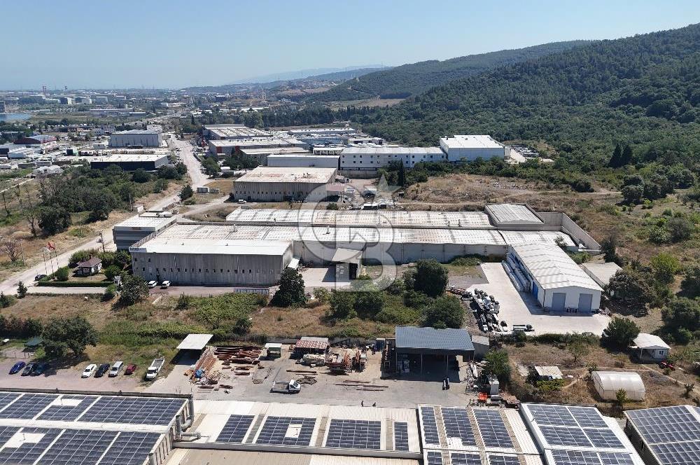 YALOVA ÇİFTLİKKÖY TAŞKÖPRÜ SATILIK FABRİKA!.