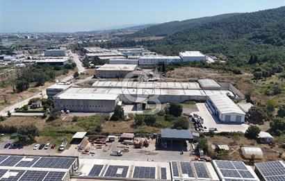 YALOVA ÇİFTLİKKÖY TAŞKÖPRÜ SATILIK FABRİKA!.
