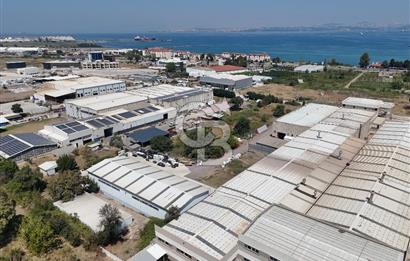 YALOVA ÇİFTLİKKÖY TAŞKÖPRÜ SATILIK FABRİKA!.