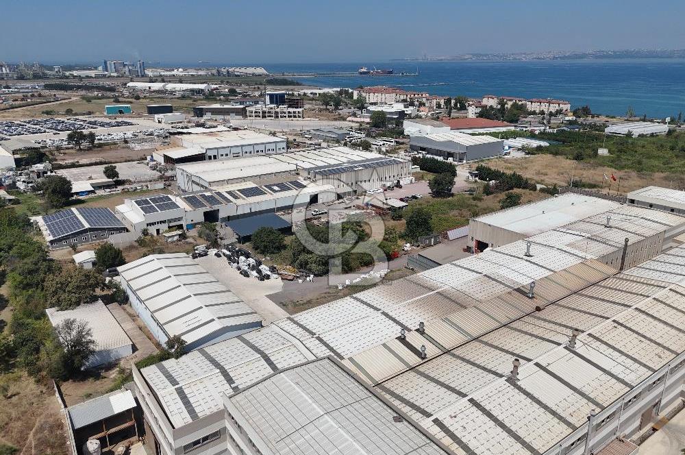 YALOVA ÇİFTLİKKÖY TAŞKÖPRÜ SATILIK FABRİKA!.