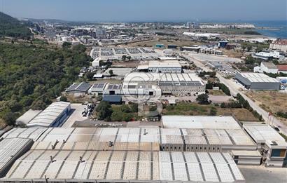 YALOVA ÇİFTLİKKÖY TAŞKÖPRÜ SATILIK FABRİKA!.