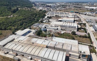YALOVA ÇİFTLİKKÖY TAŞKÖPRÜ SATILIK FABRİKA!.