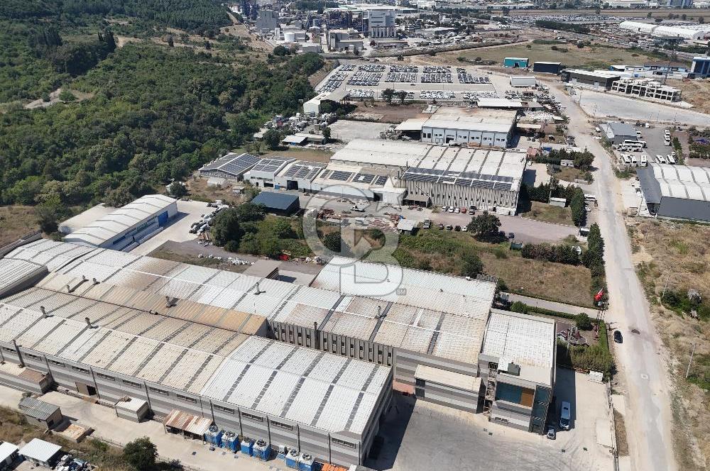 YALOVA ÇİFTLİKKÖY TAŞKÖPRÜ SATILIK FABRİKA!.